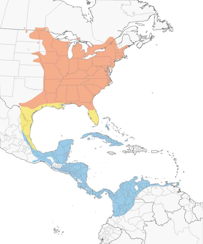 Yellow-throated vireo range map.