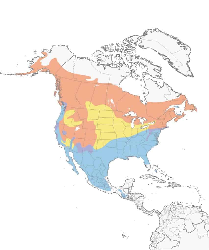 Hermit thrush range map.