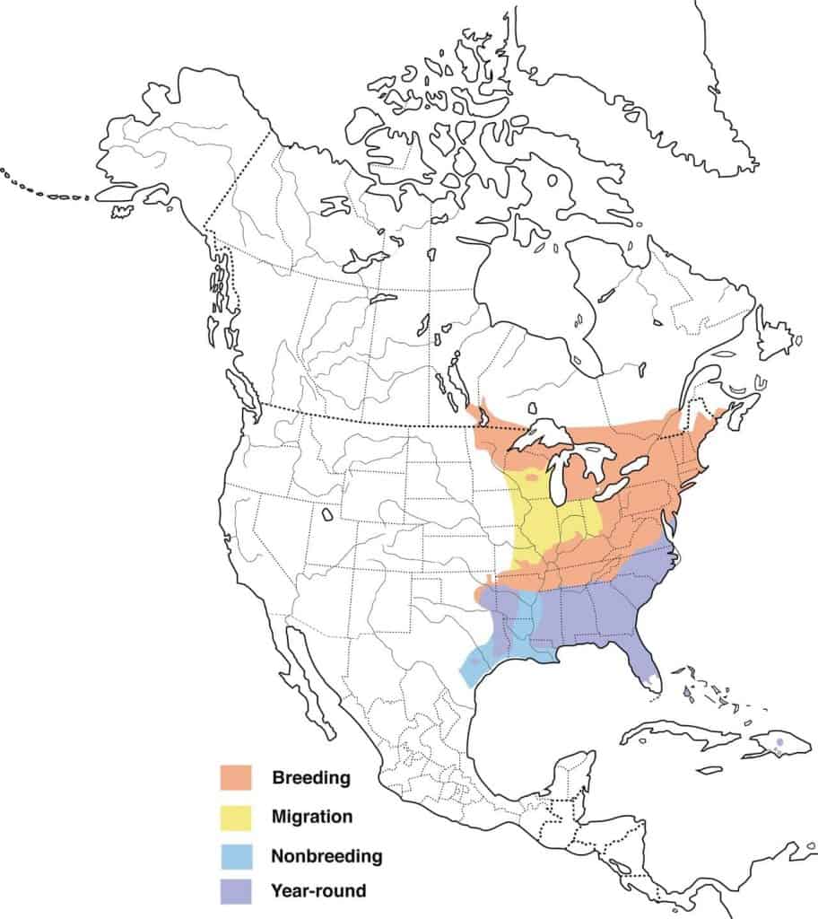 Pine warbler range map.