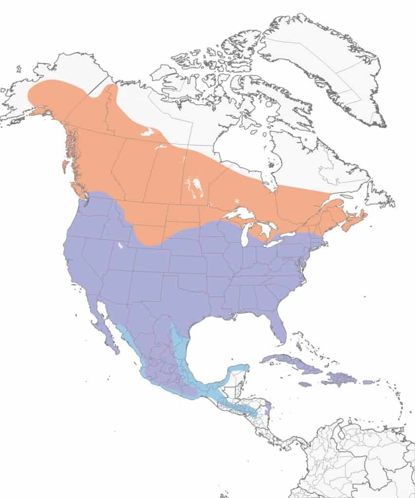 Red-tailed hawk range map.
