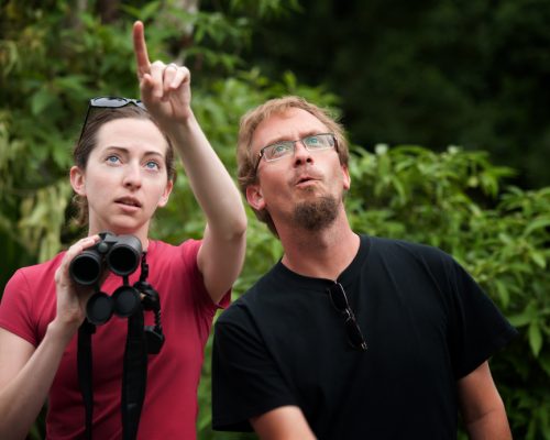 Differences Between Birdwatching & Birding – which One’s Right For You?
