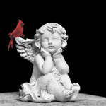 red cardinal on angels shoulder