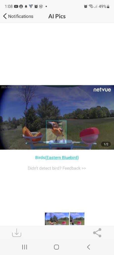 Netvue Birdfy incorrect id