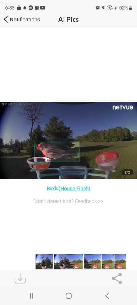 Netvue Birdfy smart feeder bird identification