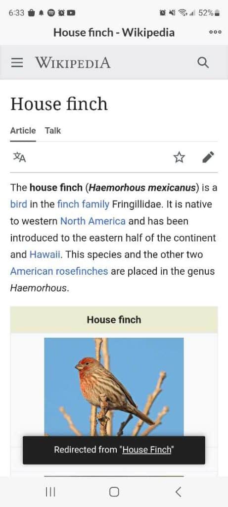 House finch wikipedia page