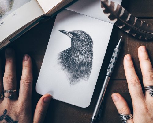 The Ultimate Guide to Starling Meaning and Symbolism
