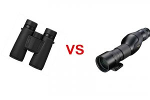 Binoculars Or Scope For Birding: Which Is Better And Why?