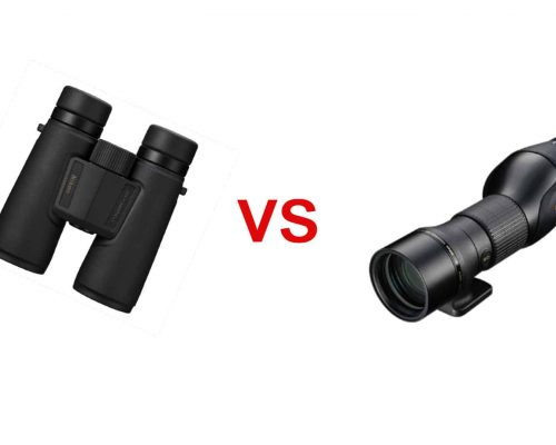Binoculars Or Scope For Birding: Which Is Better And Why?