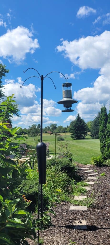 Wingscapes AutoFeeder hanging from Squirrel Stopper bird feeder pole