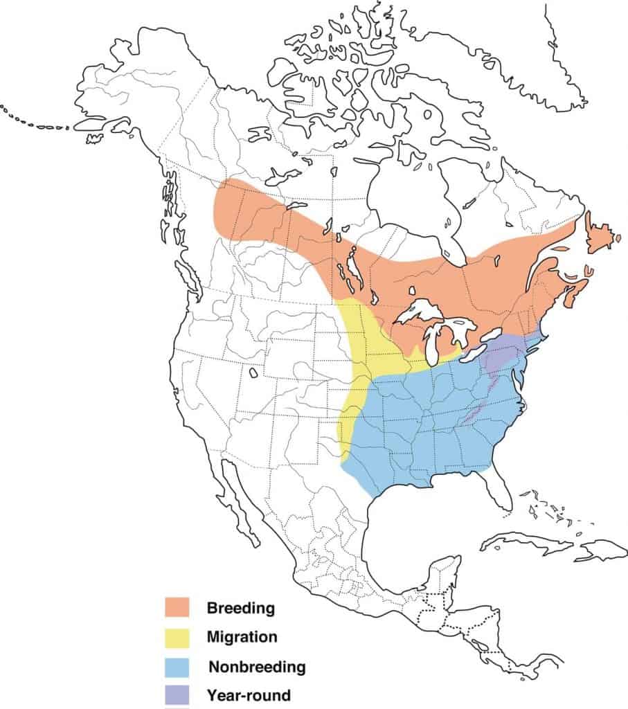 Winter wren range map.