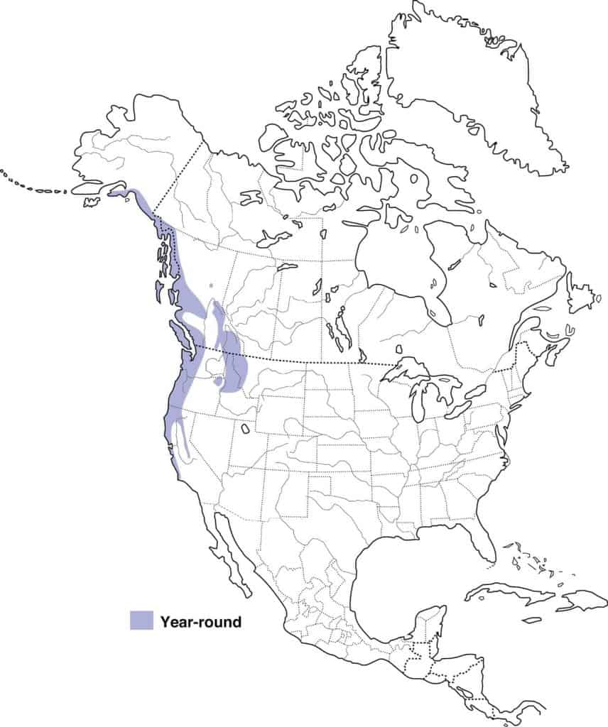chestnut-backed chickadee range map