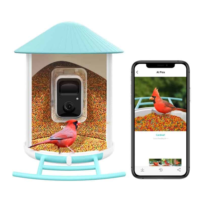 netvue birdfy bird feeder camera