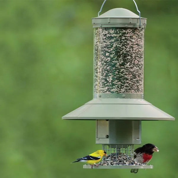 auto bird feeder made by Wingscapes