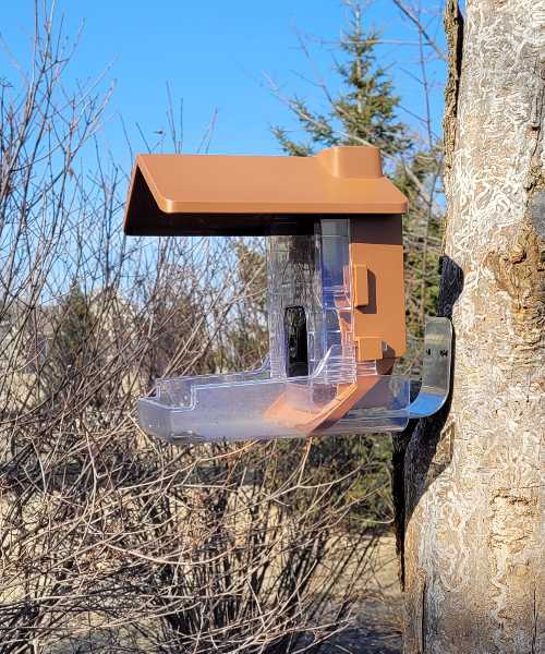 Wasserstein bird feeder case