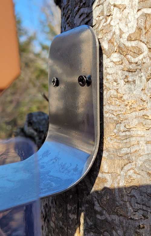 Closeup of Wasserstein Bird Feeder Case bracket installed to tree.