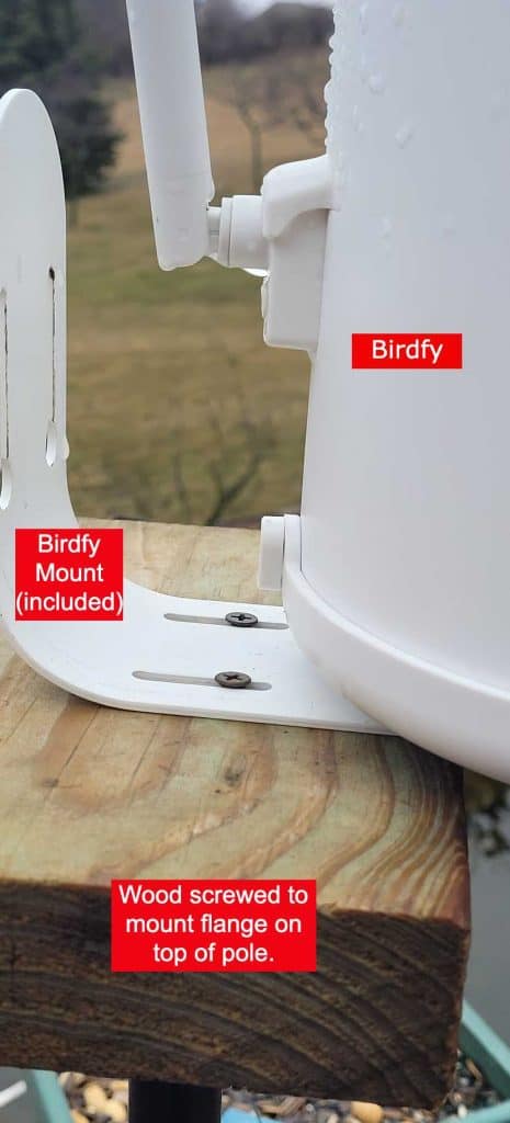 Birdfy mounted to pole