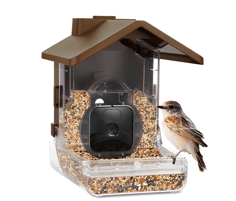 Wasserstein bird feeder camera case with bird perched on it