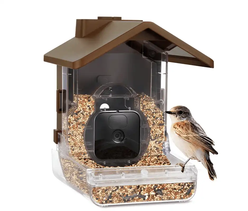 Wasserstein Bird Feeder Camera Case