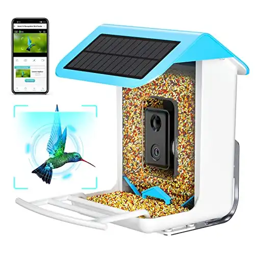 isYoung Smart Bird Feeder with Camera
