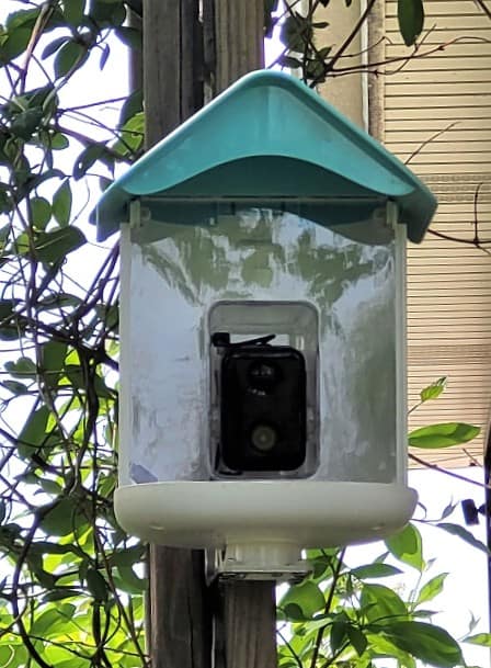 auxco smart bird feeder mounted to my arbor