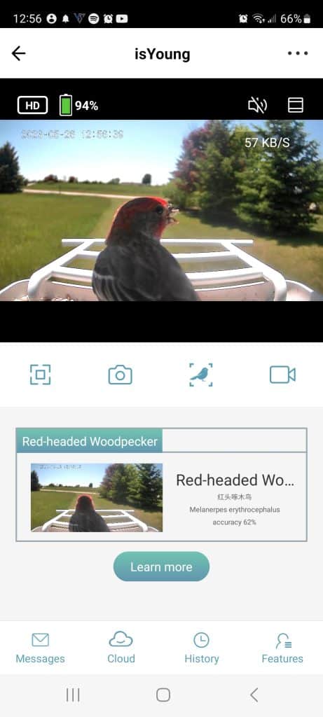 isYoung smart feeder incorrectly IDs a house finch
