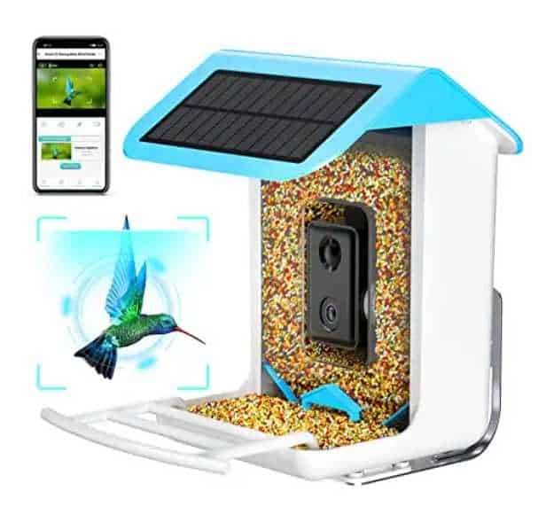 isyoung smart bird feeder camera