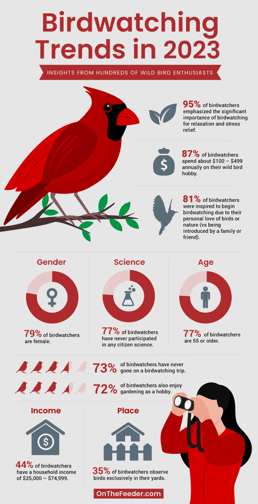 birdwatching statistics and trends in an Infographic 