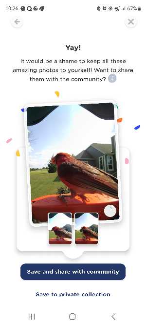 Bird Buddy app screenshot for step 2
