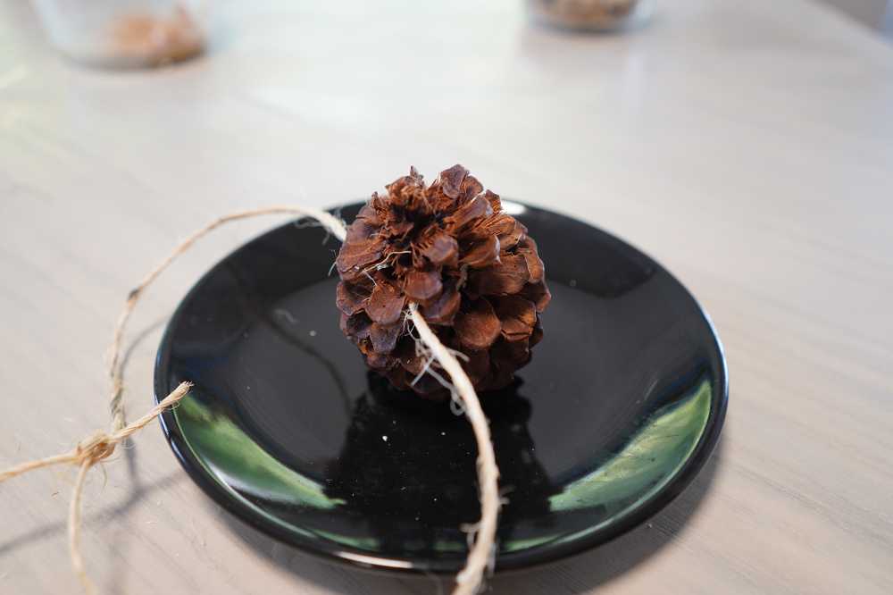 a pinecone with twine threaded through it