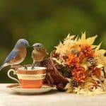 fall bird feeding represented by 2 eastern bluebirds with fall decor