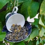 DIY teacup bird feeder hanging in a tree
