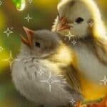 baby bird dream meaning shown by 2 baby birds with dreamy stars around them