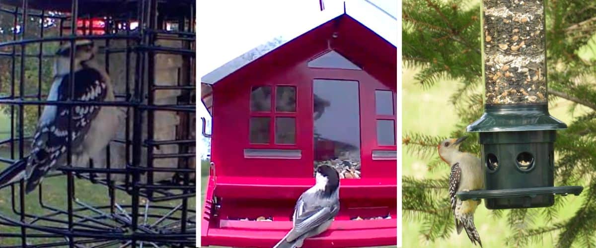 3 of the best squirrel resistant bird feeders in a collage