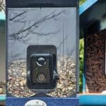3 top picks for bird feeder cameras