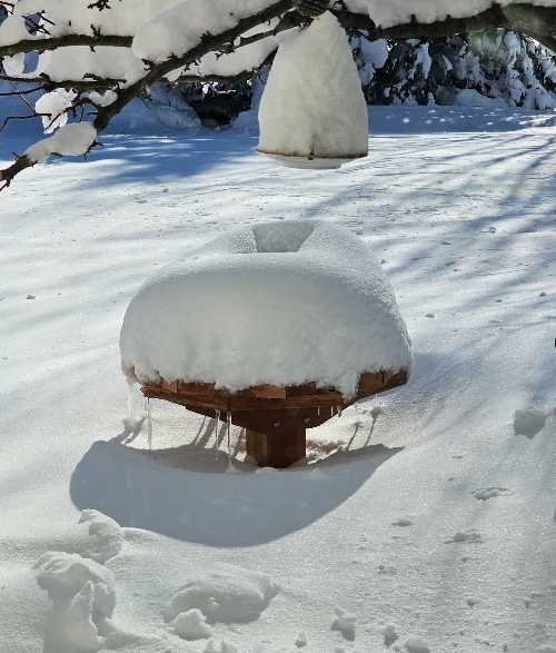 heated birdbath covered with snow