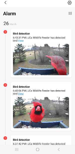 Smartphone screenshot showing final step in viewing recorded videos of birds
