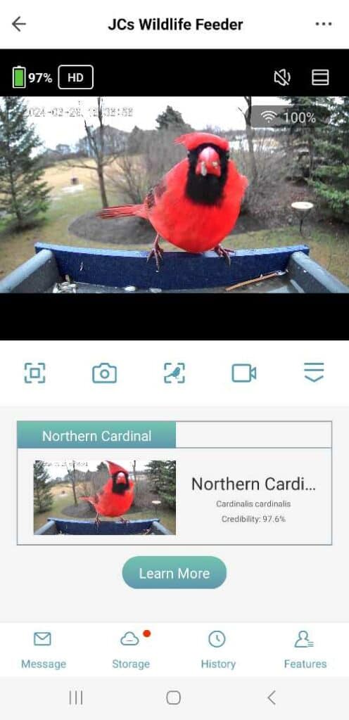 screenshot of Bird Lover app showing accurate bird identification 